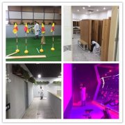 「公共空間除甲醛」健身會(huì)所內(nèi)空氣治理