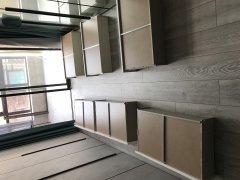 九龍倉(cāng)御璽-劉先生除甲醛