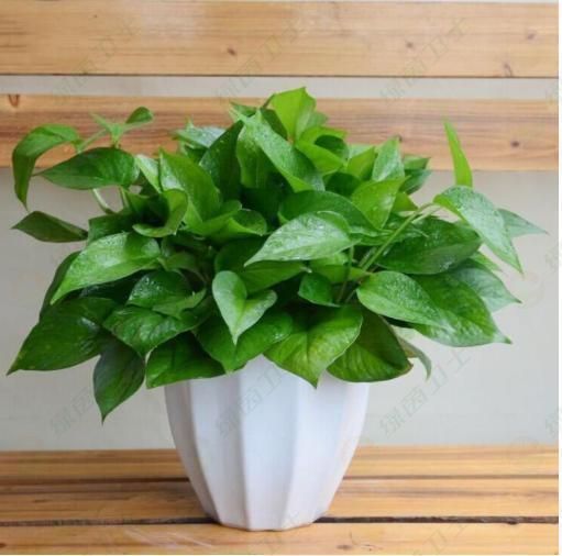 「新房空氣檢測(cè)」無(wú)錫一平方米甲醛多少錢(qián)？費(fèi)