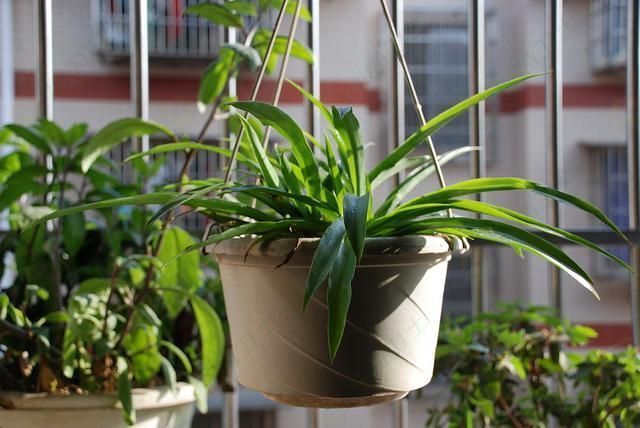 關(guān)于環(huán)保的小知識