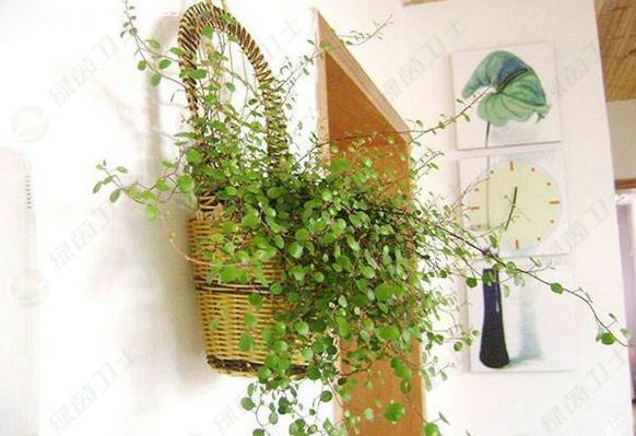 「室內空氣檢測加盟」新家具甲醛能放多久，如何去除家具中的甲醛？