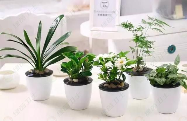 「家具甲醛」出租房甲醛超標(biāo)，誰(shuí)付檢測(cè)費(fèi)？如