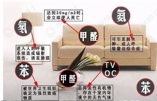 「室內(nèi)空氣凈化設(shè)備」裝修后去除甲醛的方法有哪些？去除甲醛后能活多久？