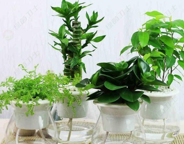 「無(wú)錫空氣凈化器廠家」新房裝修后最有效的除甲醛方法室內(nèi)除甲醛如何收費(fèi)