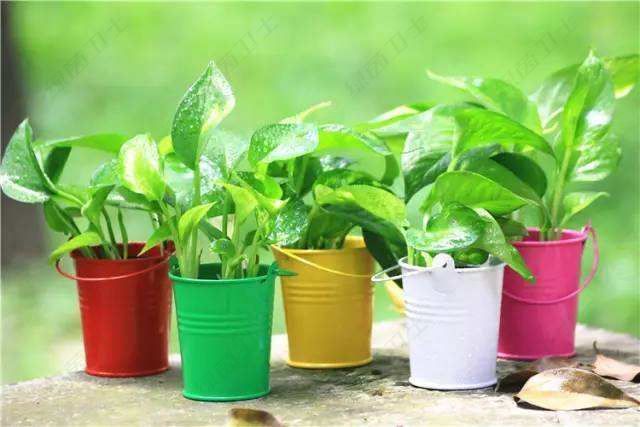 「裝修環(huán)保材料」一輛新車除甲醛還要多少錢？